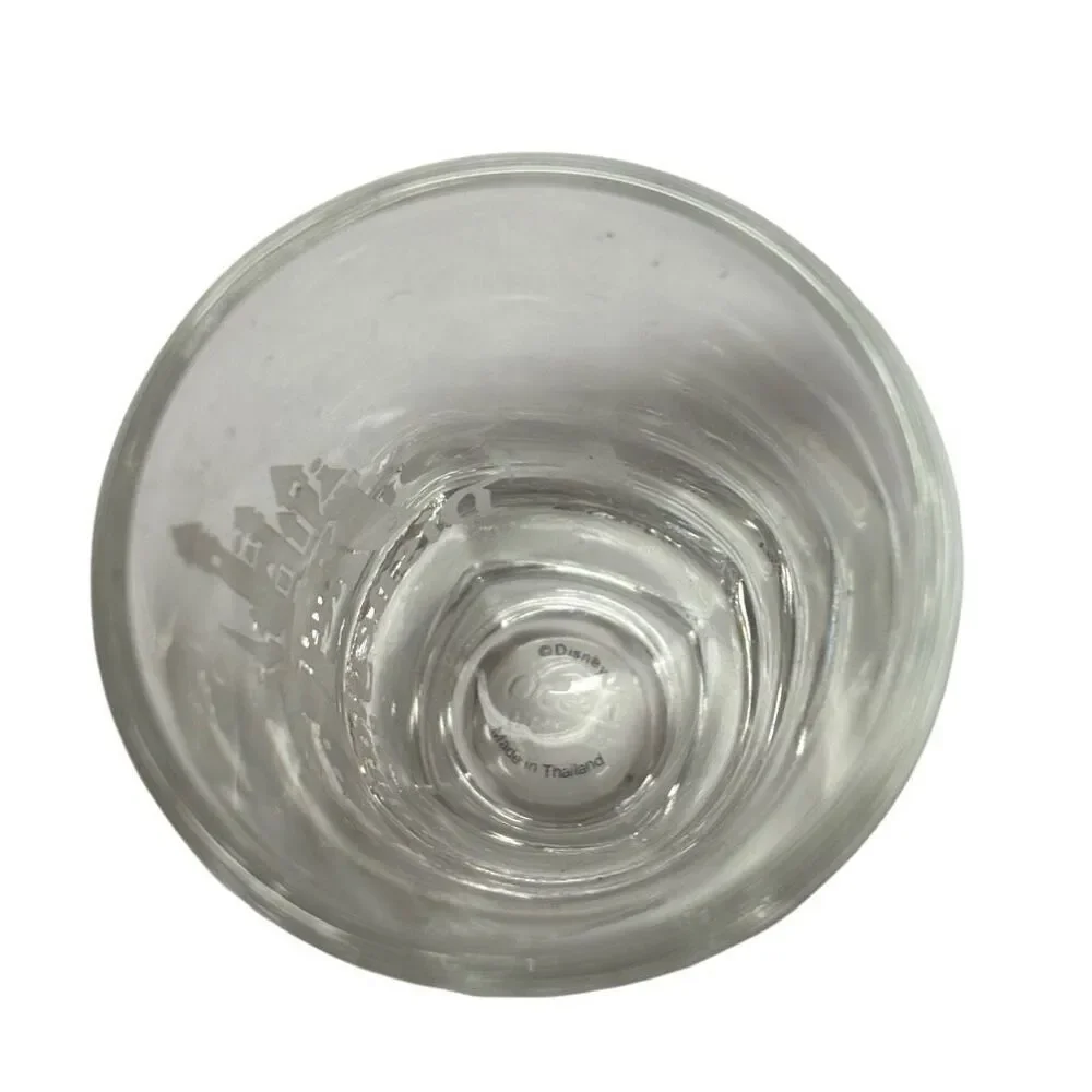 Disneyland Resorts Etched Shot Glass
